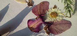 Zimska kolekcija cvetličnega nakita - engeli in vile